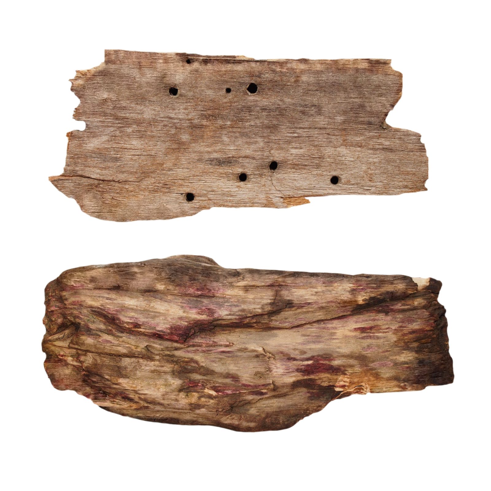 Zelo koristno lubje za gredice, kot gnojilo in kot hranilo